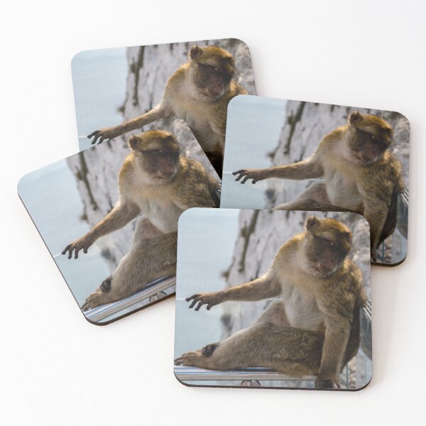 Item preview, The famous apes of Gibraltar designed and sold by Ben Gingell.