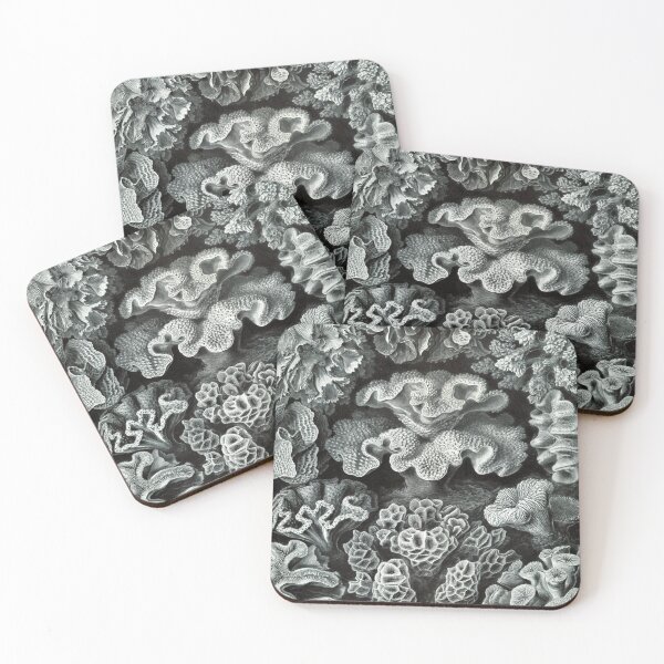 Item preview, Haeckel Hexacoralla 69 Drawing designed and sold by CCdesigners.