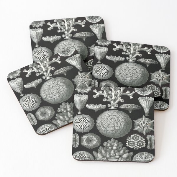 Item preview, Haeckel Hexacoralla Drawing designed and sold by CCdesigners.