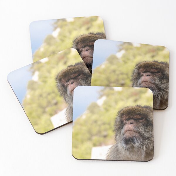 Item preview, The famous apes of Gibraltar designed and sold by Ben Gingell.