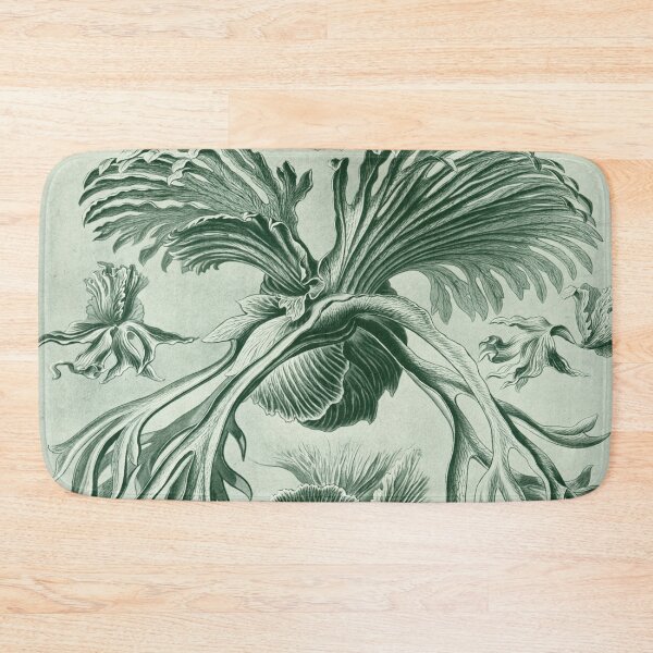 Item preview, Haeckel Filicinae Drawing designed and sold by CCdesigners.