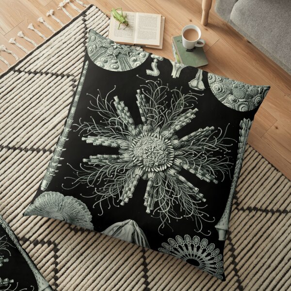 Haeckel Echinidea 60 Drawing Floor Pillow