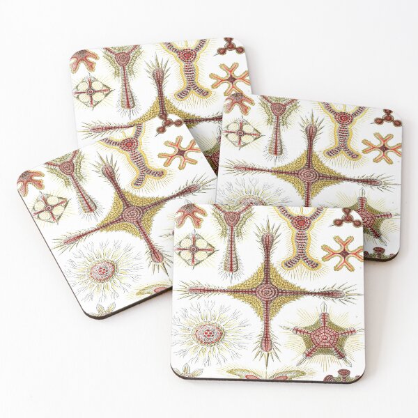 Item preview, Haeckel Discoidea Drawing designed and sold by CCdesigners.