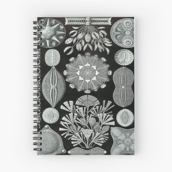 Item preview, Haeckel Diatomea Drawing designed and sold by CCdesigners.