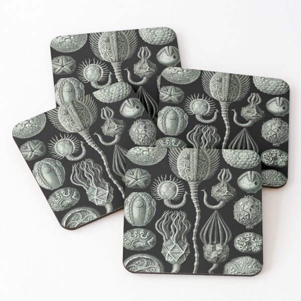 Item preview, Haeckel Cystoidea Drawing designed and sold by CCdesigners.