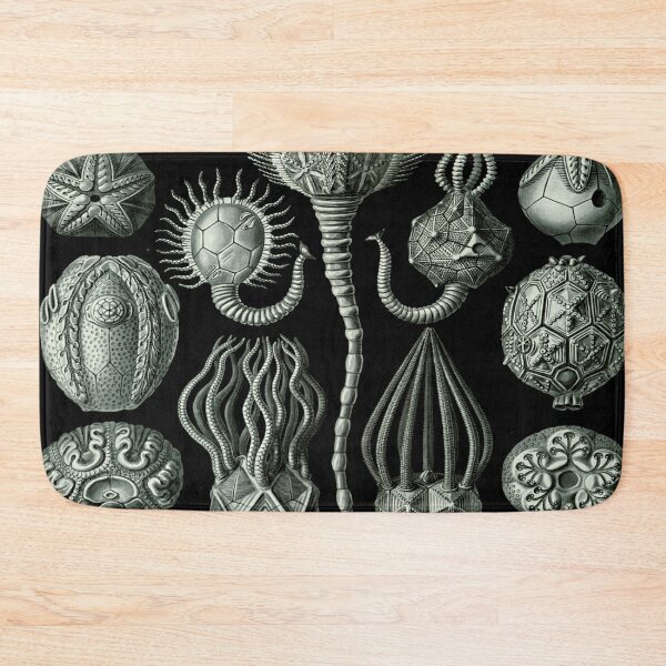 Item preview, Haeckel Cystoidea Drawing designed and sold by CCdesigners.