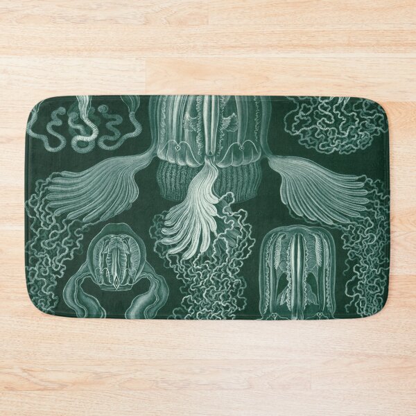 Item preview, Haeckel Cubomedusae Drawing designed and sold by CCdesigners.