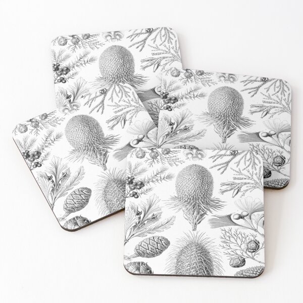 Item preview, Haeckel Coniferae Drawing designed and sold by CCdesigners.