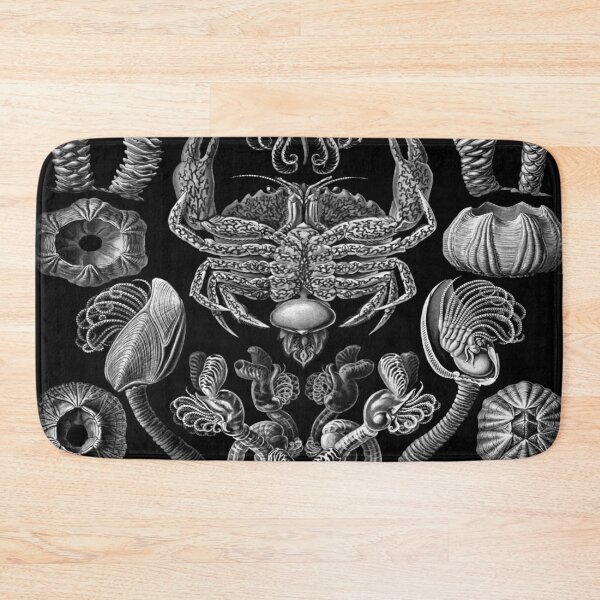 Item preview, Haeckel Cirripedia Drawing designed and sold by CCdesigners.