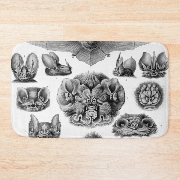 Item preview, Haeckel Chiroptera Drawing designed and sold by CCdesigners.