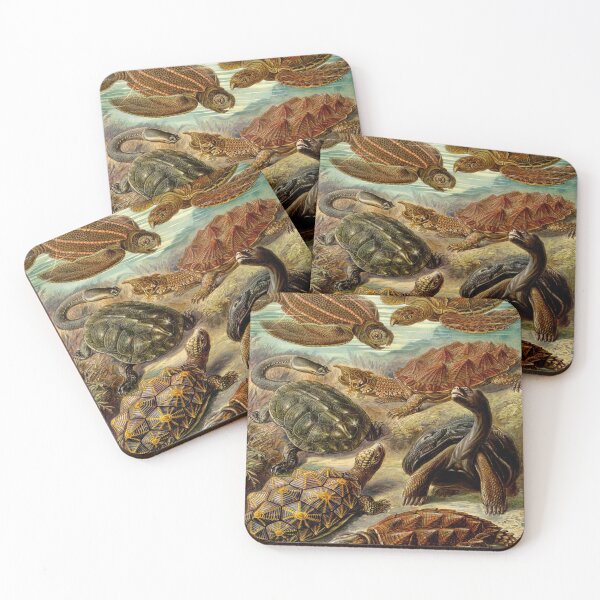 Item preview, Haeckel Chelonia Drawing designed and sold by CCdesigners.