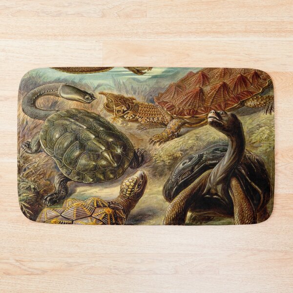 Item preview, Haeckel Chelonia Drawing designed and sold by CCdesigners.