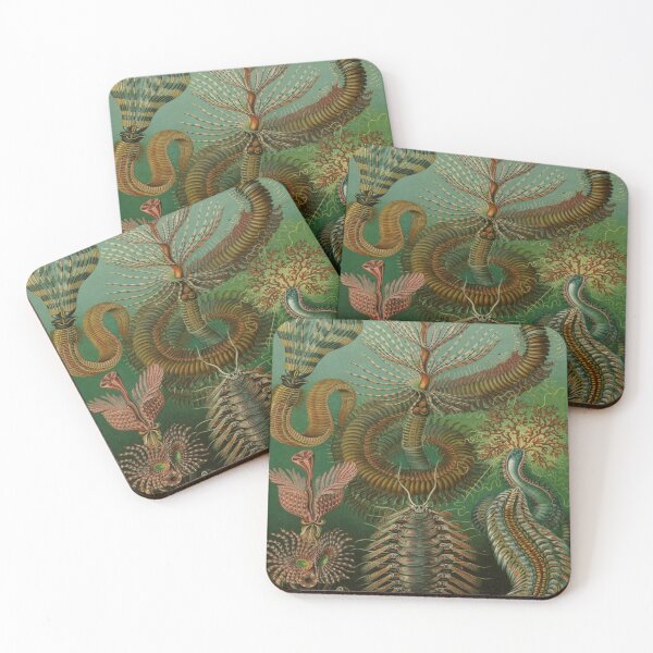 Item preview, Haeckel Chaetopoda Drawing designed and sold by CCdesigners.