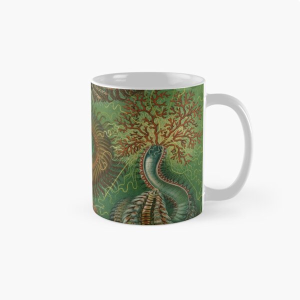 Aperçu de l'œuvre Haeckel Chaetopoda Dessin créée et vendue par CCdesigners.