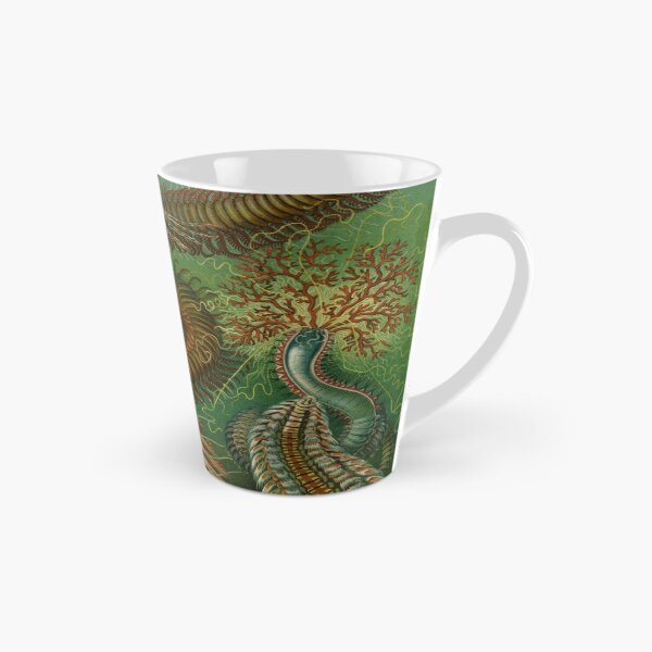 Aperçu de l'œuvre Haeckel Chaetopoda Dessin créée et vendue par CCdesigners.