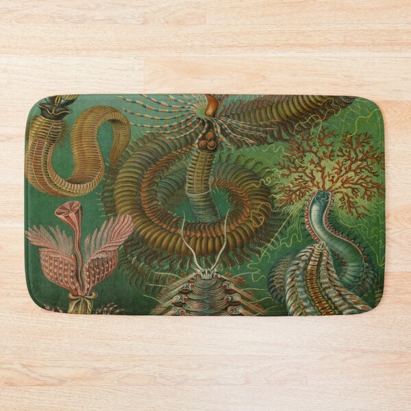 Item preview, Haeckel Chaetopoda Drawing designed and sold by CCdesigners.