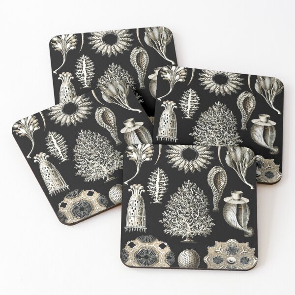 Item preview, Haeckel Calcispongiae Drawing designed and sold by CCdesigners.