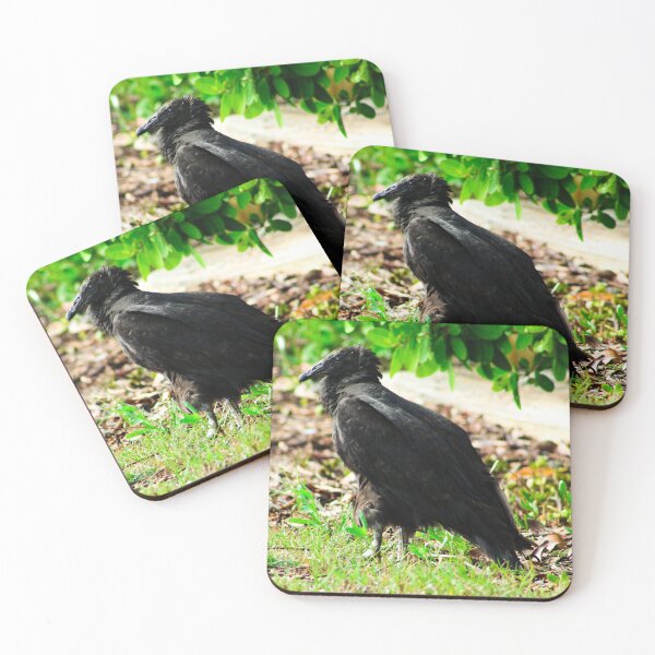 Item preview, Black-Headed Vulture designed and sold by banditandkoko.