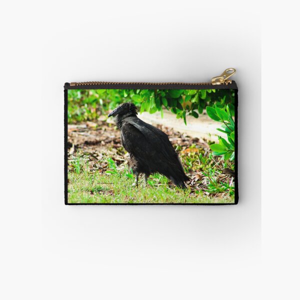 Item preview, Black-Headed Vulture designed and sold by banditandkoko.