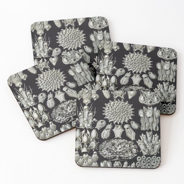 Item preview, Haeckel Bryozoa 33 Drawing designed and sold by CCdesigners.