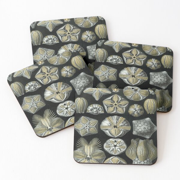 Item preview, Haeckel Blastoidea Drawing designed and sold by CCdesigners.
