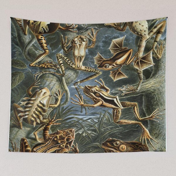 Item preview, Haeckel Batrachia Drawing designed and sold by CCdesigners.