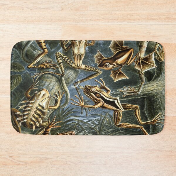 Item preview, Haeckel Batrachia Drawing designed and sold by CCdesigners.