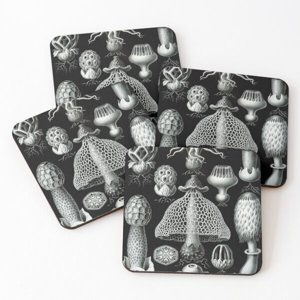 Item preview, Haeckel Aspidonia Drawing designed and sold by CCdesigners.