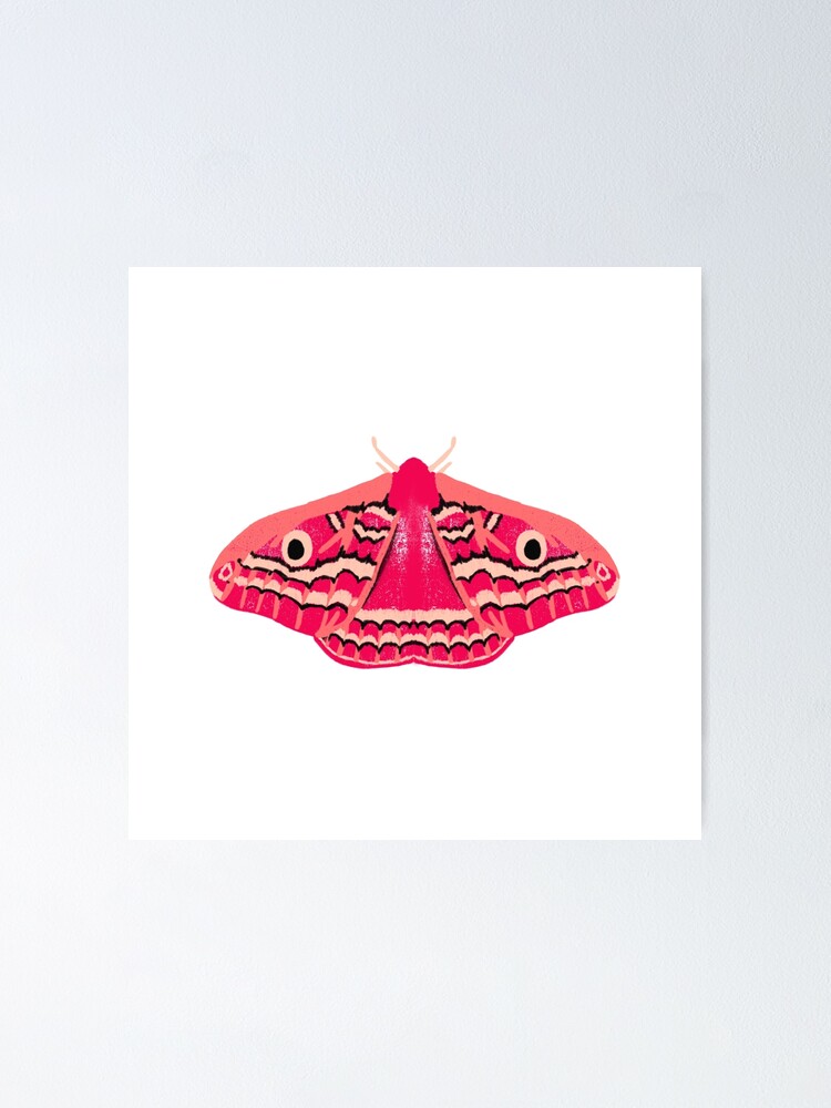 Painted Tiger Moth Sticker