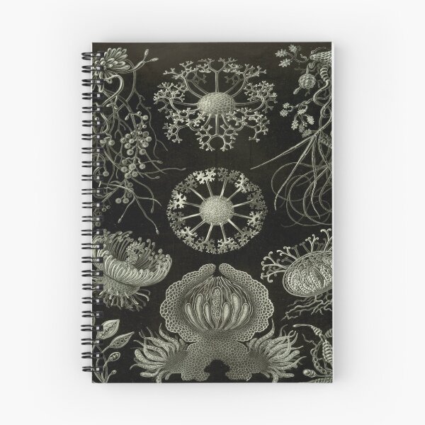 Item preview, Haeckel Ascomycetes Drawing designed and sold by CCdesigners.