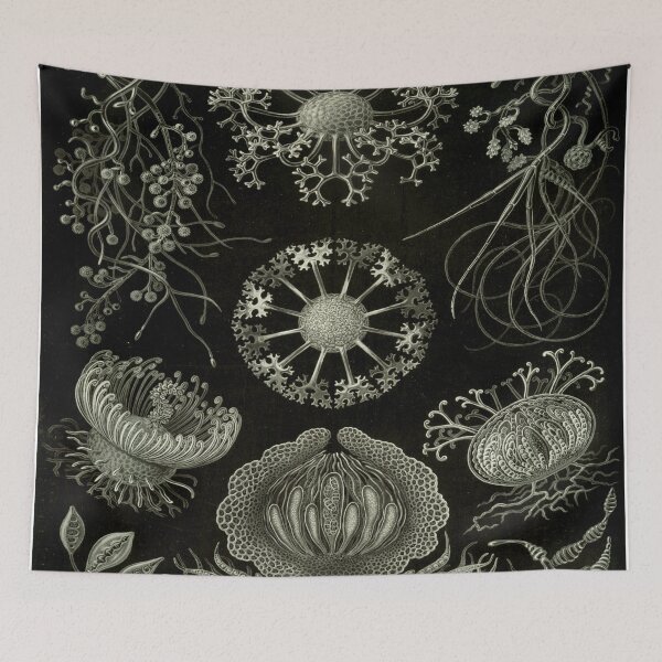 Item preview, Haeckel Ascomycetes Drawing designed and sold by CCdesigners.