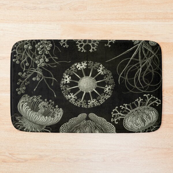 Item preview, Haeckel Ascomycetes Drawing designed and sold by CCdesigners.