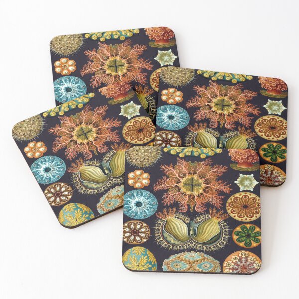 Item preview, Haeckel Ascidiae Drawing designed and sold by CCdesigners.