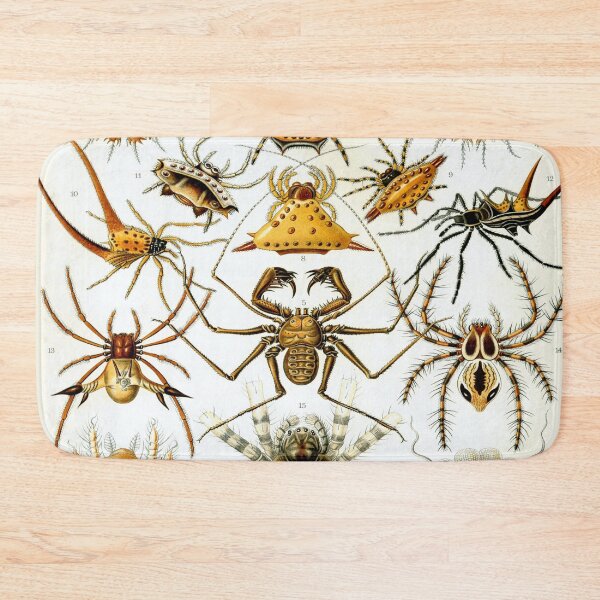 Item preview, Haeckel Arachnida Drawing designed and sold by CCdesigners.
