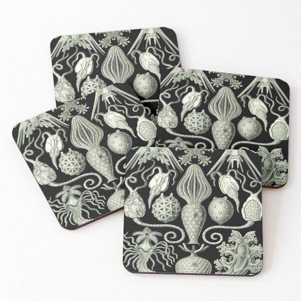 Item preview, Haeckel Amphoridea Drawing designed and sold by CCdesigners.