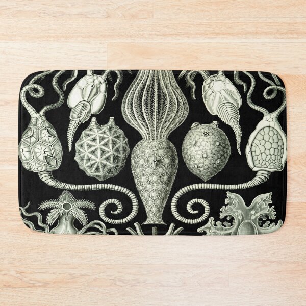 Item preview, Haeckel Amphoridea Drawing designed and sold by CCdesigners.