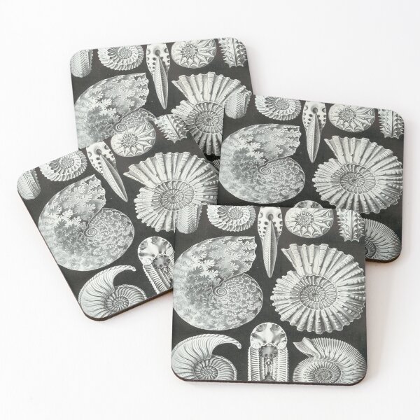 Item preview, Haeckel Ammonitida Drawing designed and sold by CCdesigners.