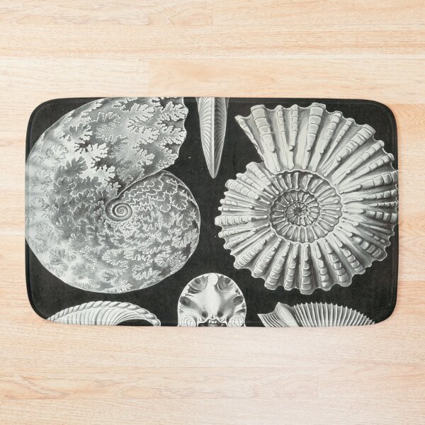 Item preview, Haeckel Ammonitida Drawing designed and sold by CCdesigners.