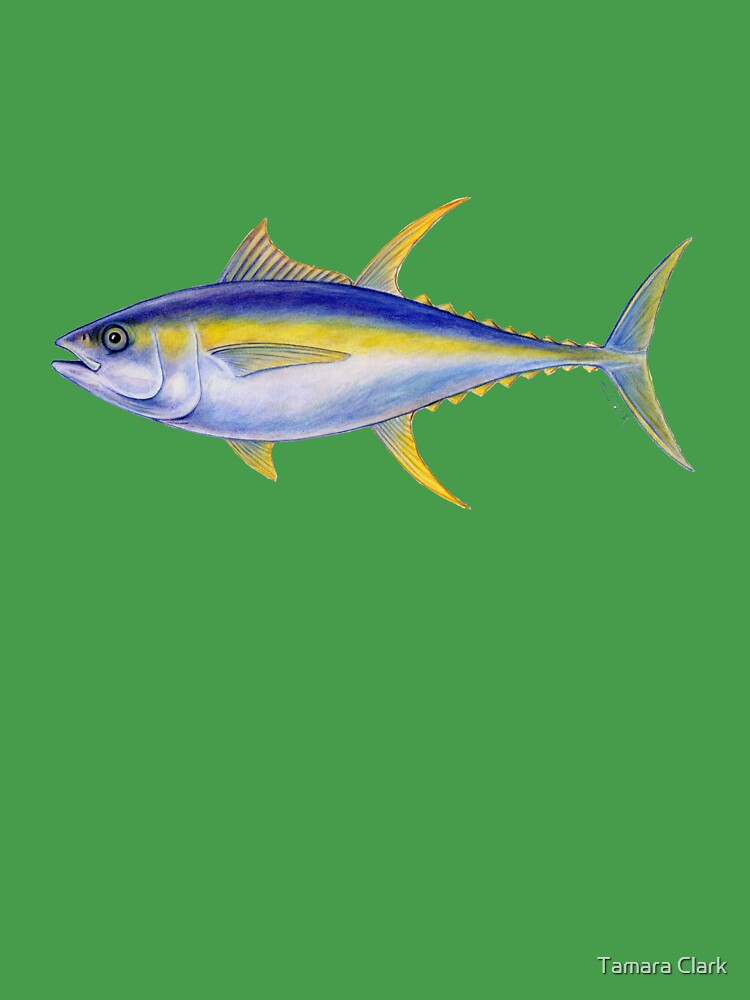 Illustration Of Yellowfin Tuna.Thunnus Albacares. Stock Photo, Picture and  Royalty Free Image. Image 50659731.