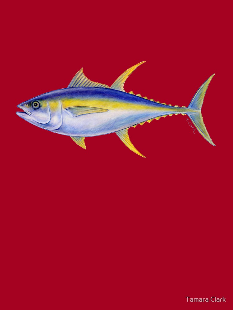 Yellowfin tuna (Thunnus albacares) - JungleDragon