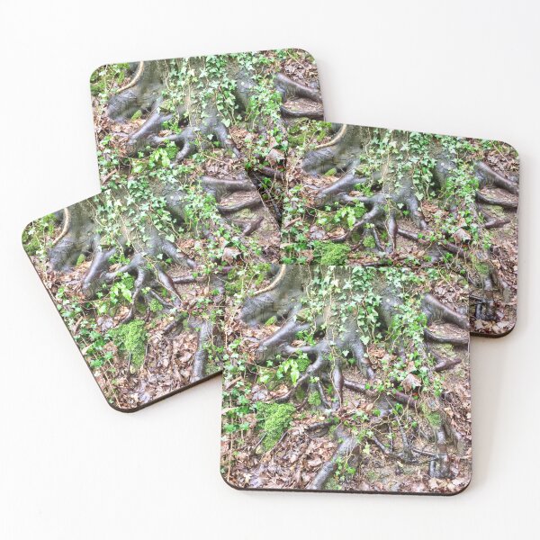 Item preview, “Holding On” Deep Roots.  “Lost in the Cotswolds,Uk” designed and sold by Angela Haig-Harrison.
