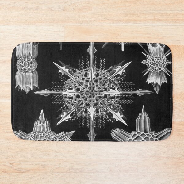 Item preview, Haeckel Acanthophracta Drawing designed and sold by CCdesigners.