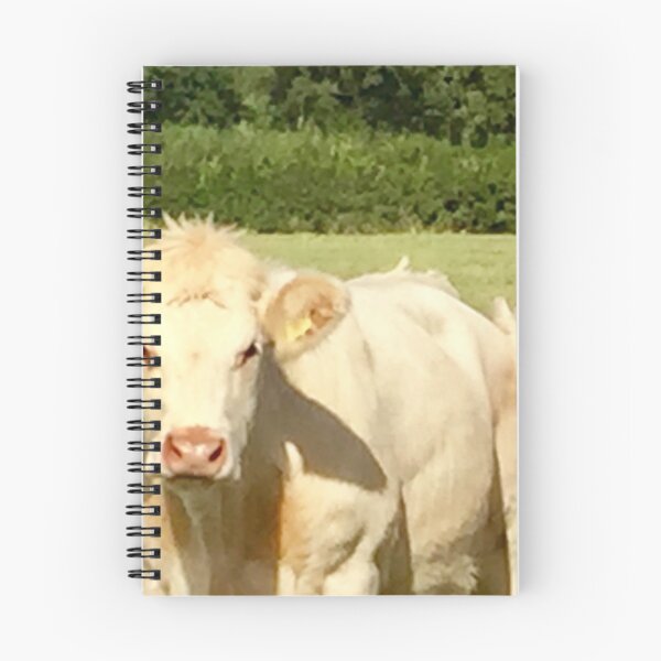 Item preview, “Curious Cows” designed and sold by Angela Haig-Harrison.