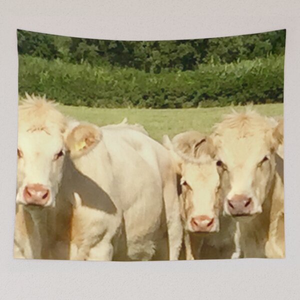 Item preview, “Curious Cows” designed and sold by Angela Haig-Harrison.