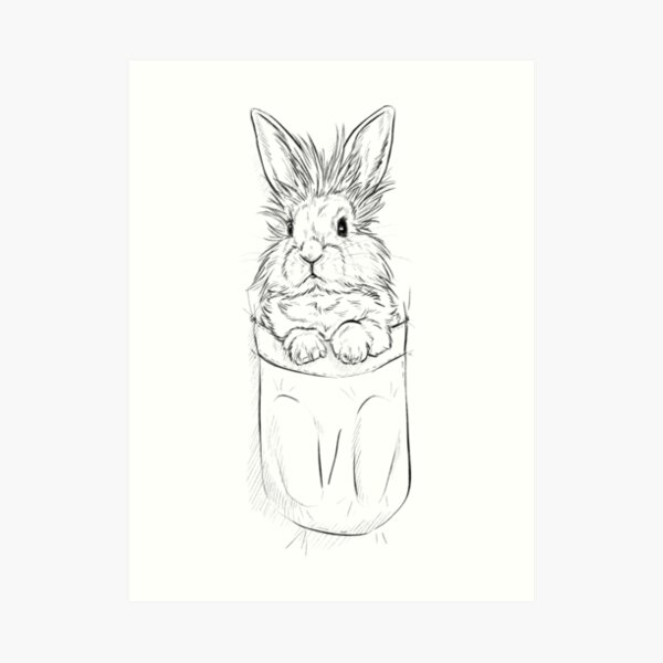 Bunny Sketches by Nite-Litez-Lion -- Fur Affinity [dot] net