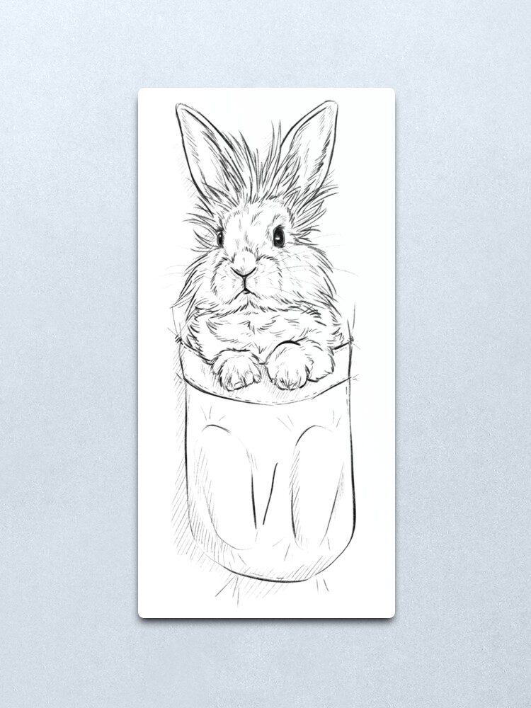 Alternate view of Lion head rabbit in a pouch Metal Print