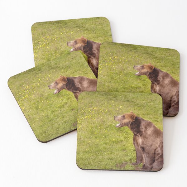 Item preview, Brown Bear Yawn designed and sold by DVart-nz.