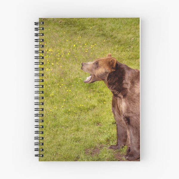 Item preview, Brown Bear Yawn designed and sold by DVart-nz.