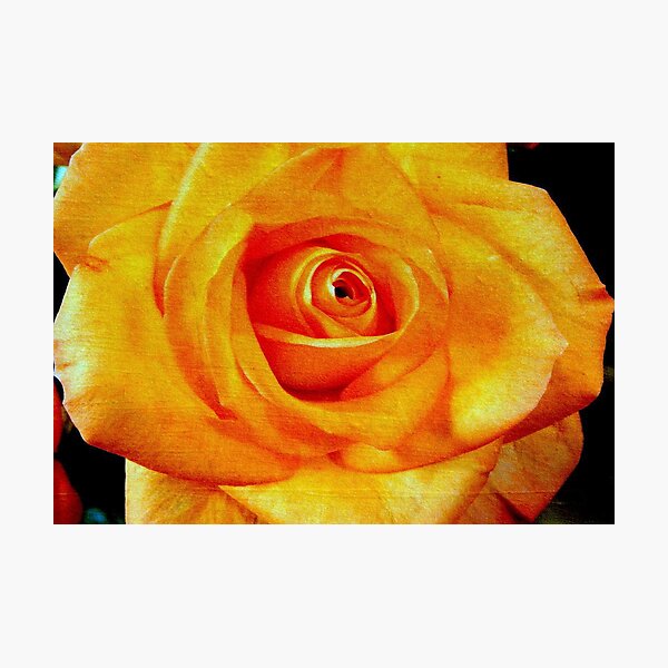 Natural Beauty © Photographic Print