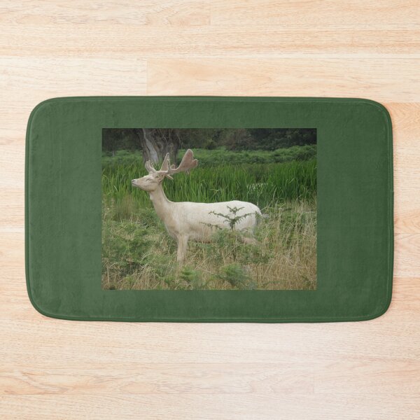 Item preview, Elegant White Fallow Deer Stag Photograph designed and sold by naturegallery.